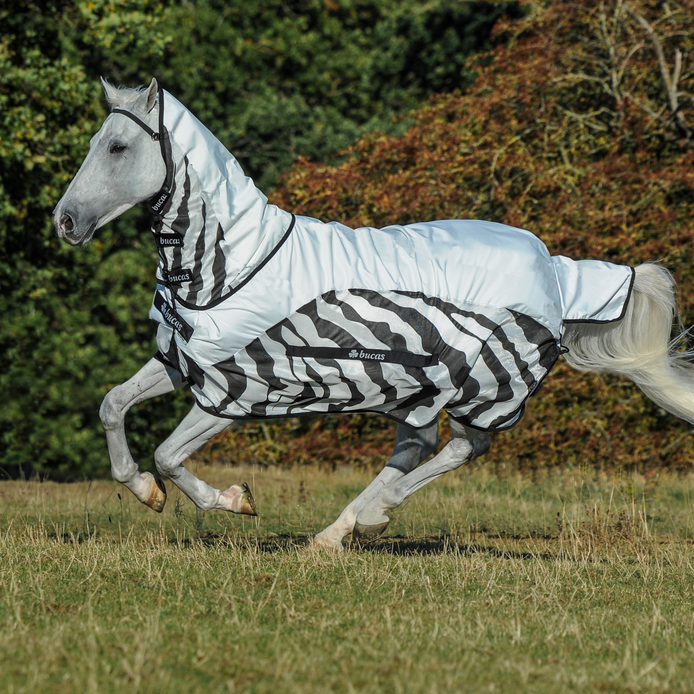 Zebra Full Neck Horse Cooler 