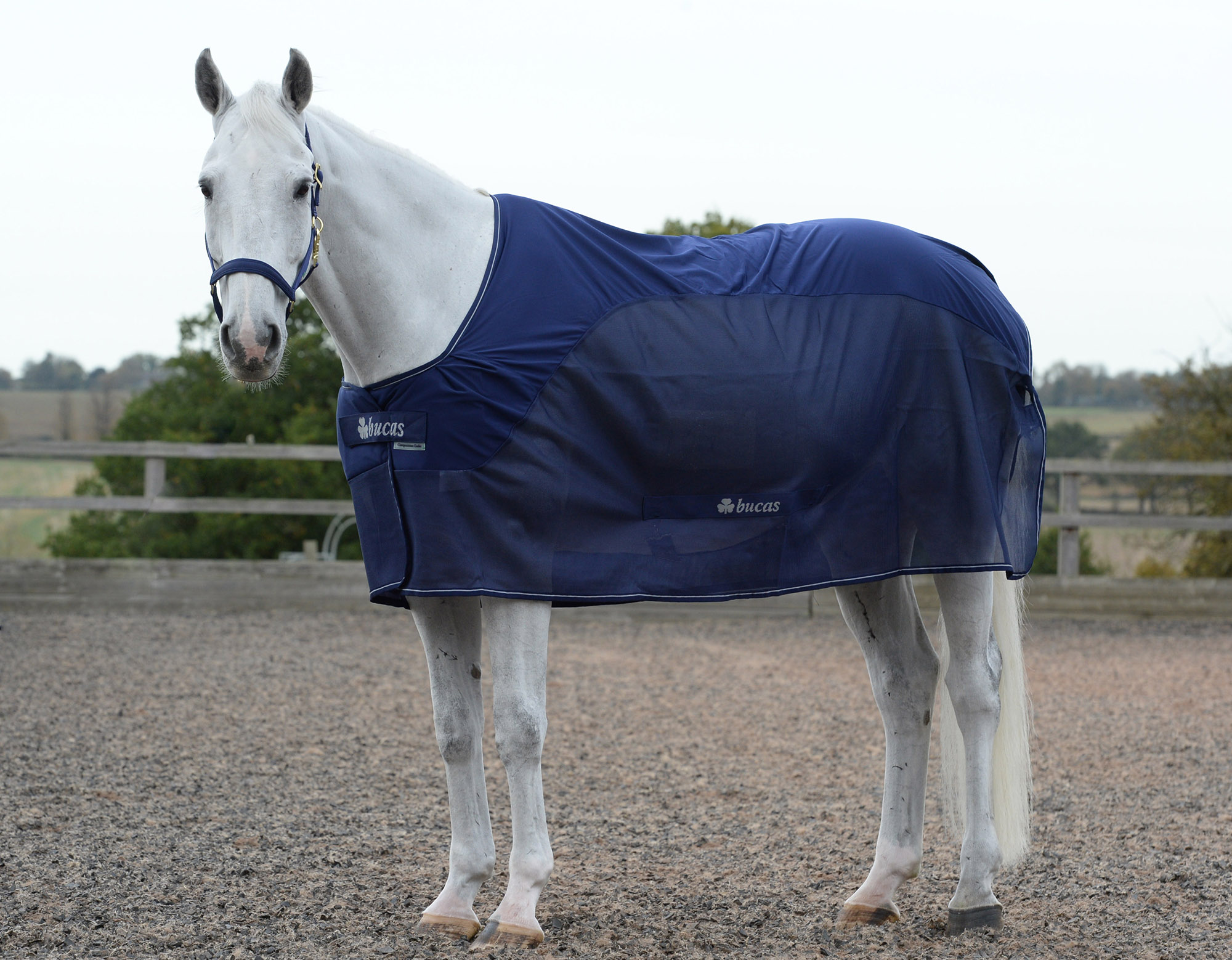 SALE TO CLEAR FLEECE RUG WITH AIR MESH PANELS  Sweat Drying cooler stable travel