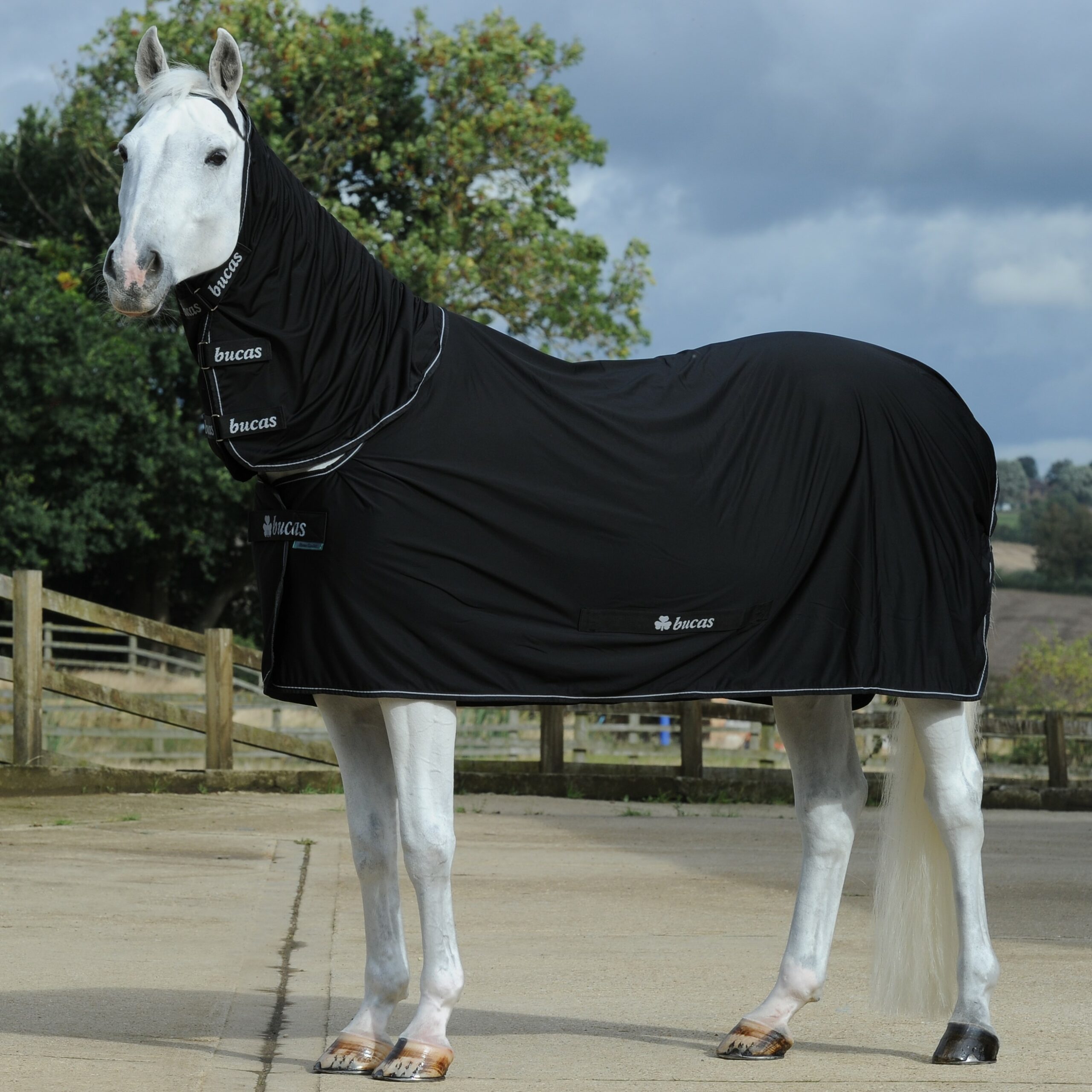 6'3" BNIB All sizes available Bucas Power Cooler Rug Navy 