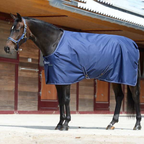 Stable Rug