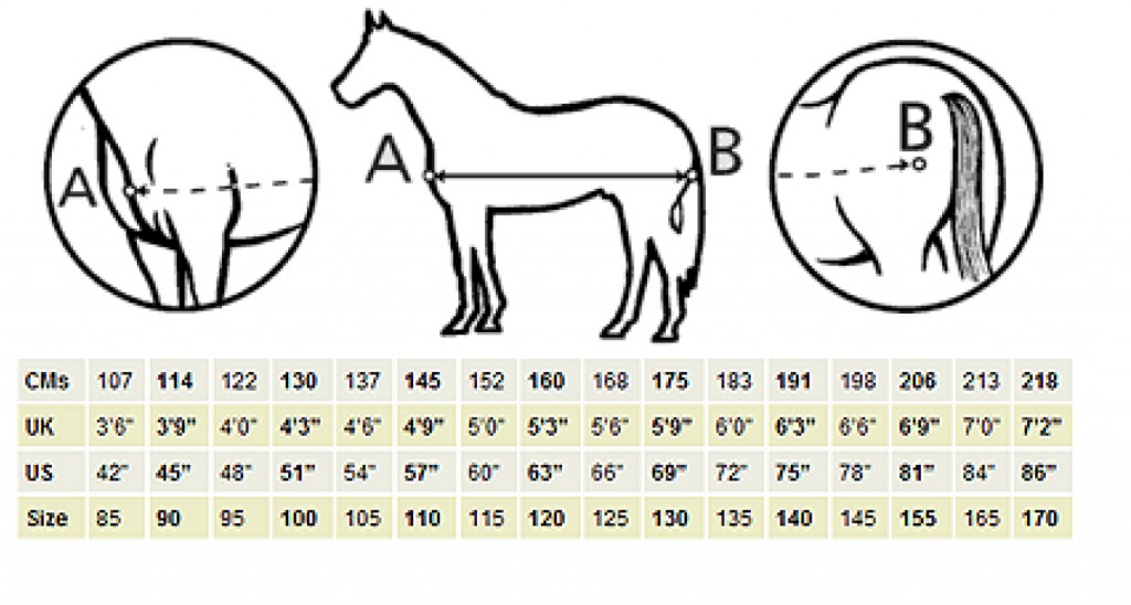 Horse Rug Weight Chart